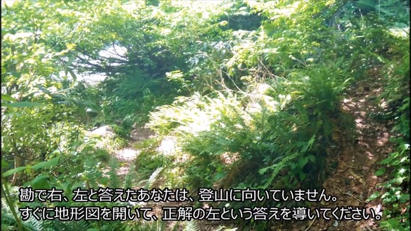 草の生い茂る登山道