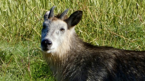 29562692_s