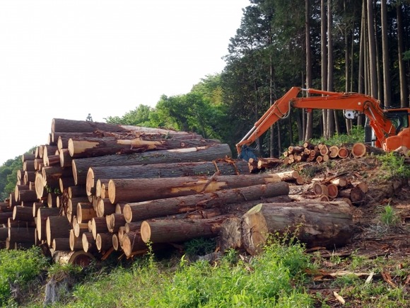 【動画】木を粉々にするマシーン、木を粉々にしてしまう