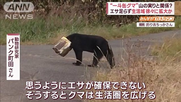 【秋田】頭に一斗缶をかぶったクマが道路を徘徊