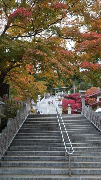 【画像】ヒマなおっさん、大山阿夫利神社に行く
