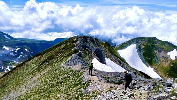 【悲報】ワイ、登山用のポールを2万円で購入