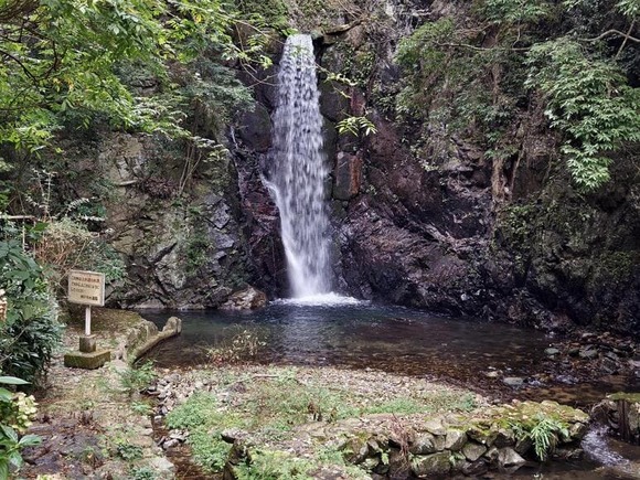 【画像】有馬温泉行くわ
