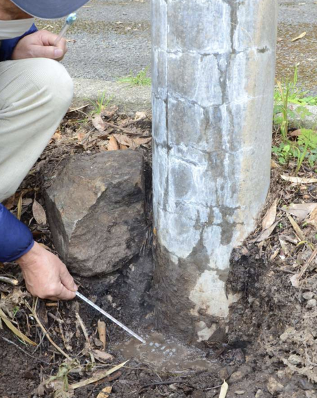 【鹿児島】電柱の根元から突然噴気…地中の温度90度超、草は枯れ雨水沸騰　温泉ソムリエも「？」