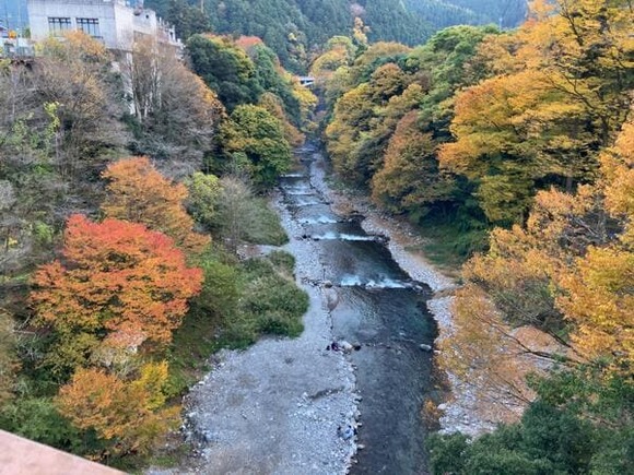 【画像】鳩ノ巣駅から白丸魚道と川苔山（標高1,358m）経由で百尋ノ滝まで歩く