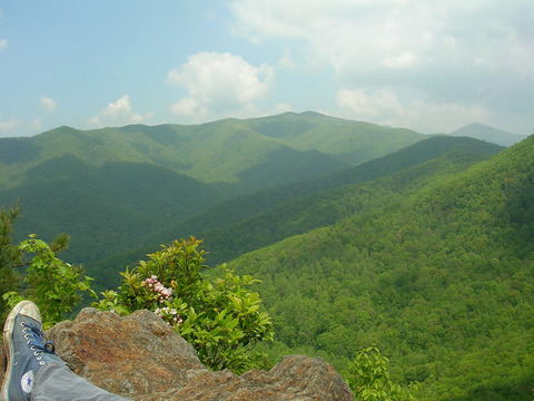 3859998160_2474d10dd5_b