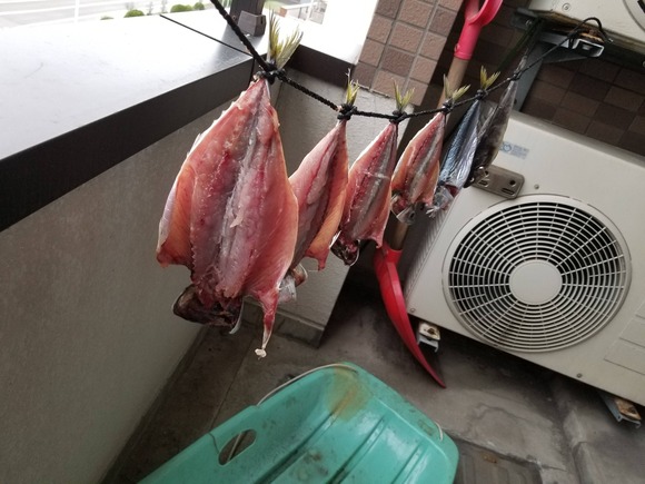 味