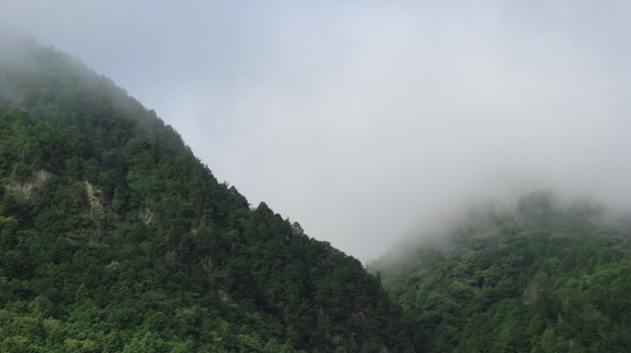 山で遭難して四日生き延びたけどなんか質問ある？