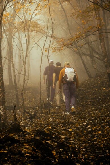 嫁から山禁止令がでてる…熊鈴じゃNG、どうしても行きたいなら熊スプレーを買えと