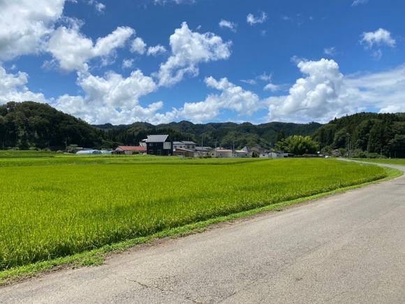 ちょうどいい田舎町で学生時代を送りたかった・・・