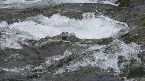 【動画】川に溺れた中国人のおじさん、懸命の救助の甲斐なく流される