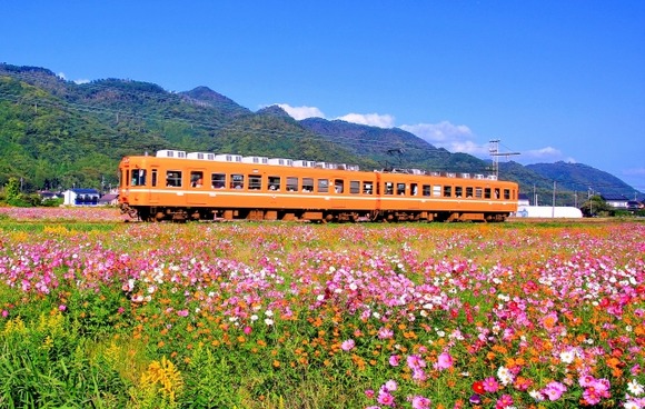 ワイくん旅好き「免許ないし金もないから鈍行列車で行くやで」