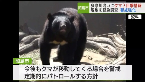 【東京】昭島市でクマ？の目撃情報！緊急調査し警戒強化
