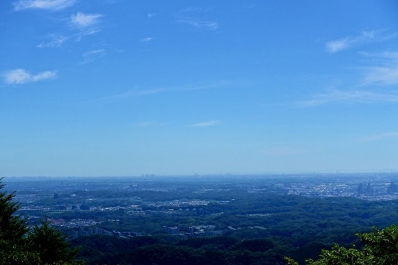 【画像】ワイ、マッマと高尾山に登る