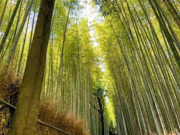 一人旅おすすめあったら教えて