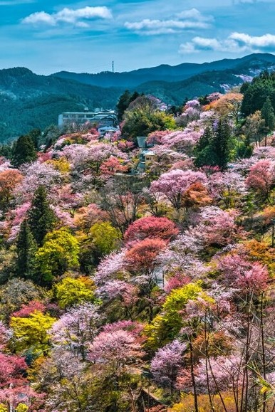今年行った観光地ってある？