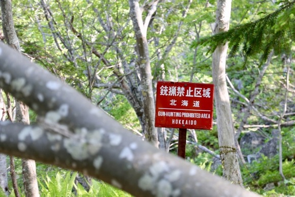 【動画】クマに襲われた人、ショットガンで応戦