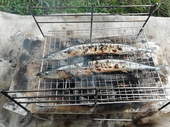【キャンプ飯】もうホルモンなしじゃ満足できない身体になってしまった