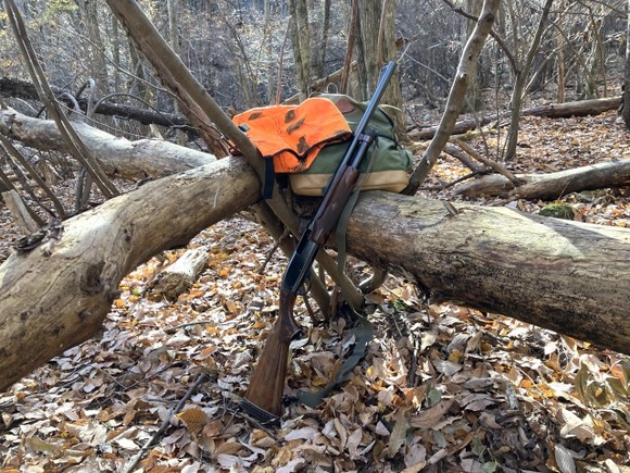 趣味で狩猟やってるやんだけど、どういうイメージ？