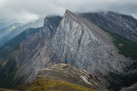 15086596771_41e29a766c_k