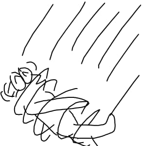 43