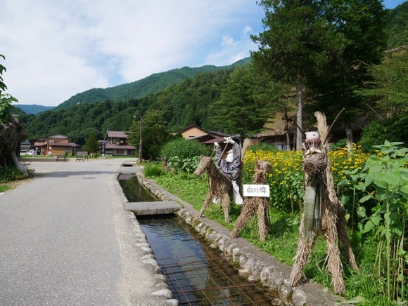 田舎だとこういう通らせる気ない歩道あるよな