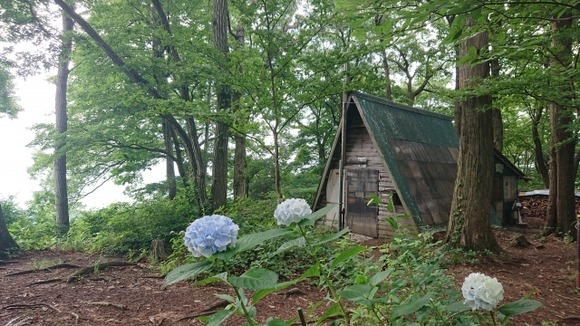 お金貯めてワンルーム規模の山小屋買うってのがリスクないみたい