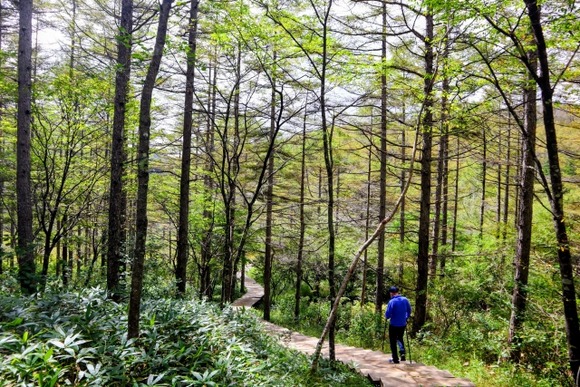 登山とかいう滑落したら死ぬ、クマが出る、遭難したら危ない趣味が年寄りにすすめられる理由