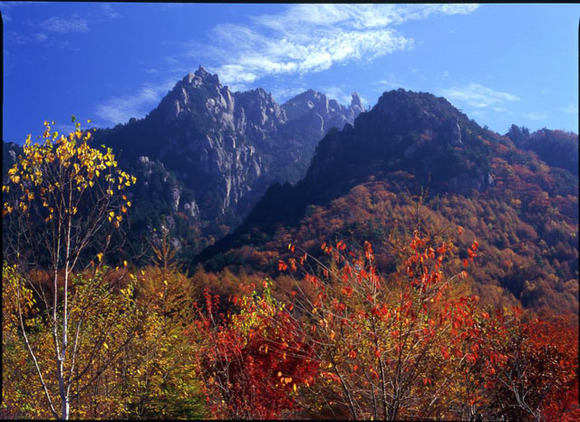 瑞牆山紅葉