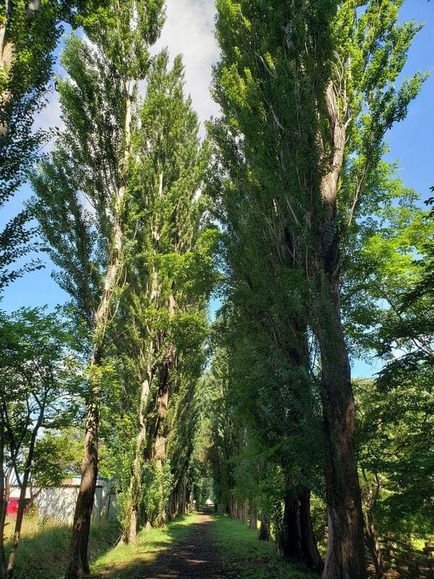 1814