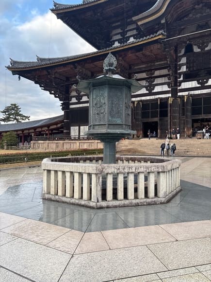 【画像】奈良公園パトロールきた！