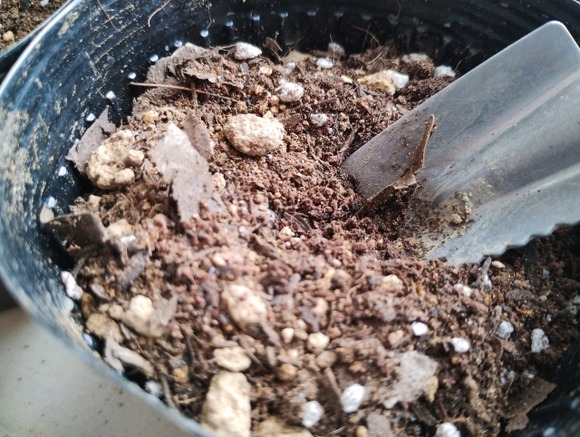 ガーデニングで使い終わった土を普通にゴミに出してはいけません