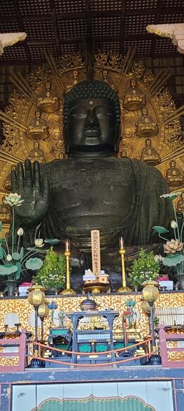 【画像】奈良に行ってきたで！！！！