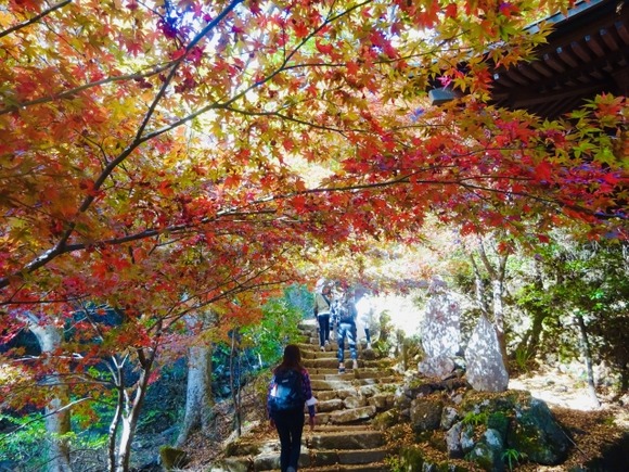 登山道のすれ違いで挨拶してもシカトするおじさんの心境って何？