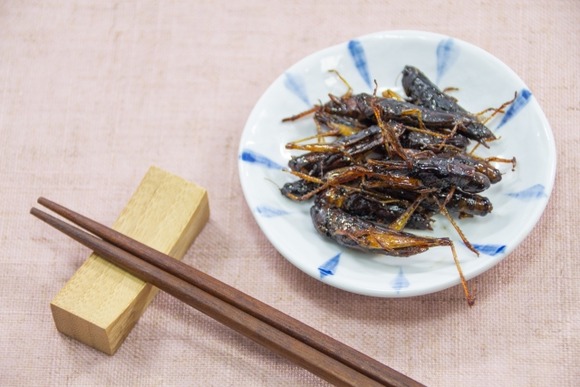高学歴「昆虫食はメリットだらけなんだぁぁぁ！！」
