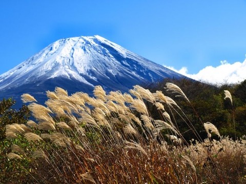 富士山