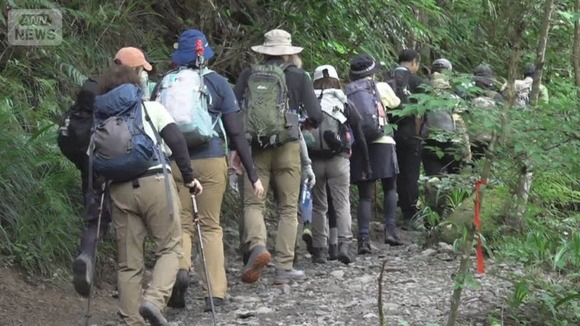 高尾山で遭難する人ってなんなの？