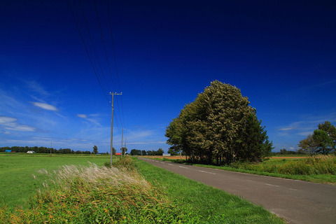 田舎の風景