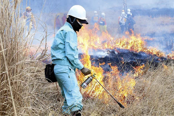 阿蘇で「野焼きのプロ」認定制度を創設、報酬は１日３０００円　←危険なのに安過ぎね？