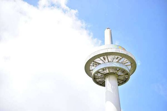 【画像】紫陽花咲いてていい感じだよ