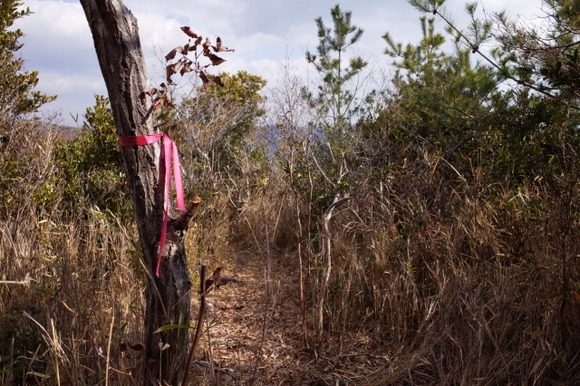 月輪寺「高齢登山者に注意喚起しても話を聞いてくれない」