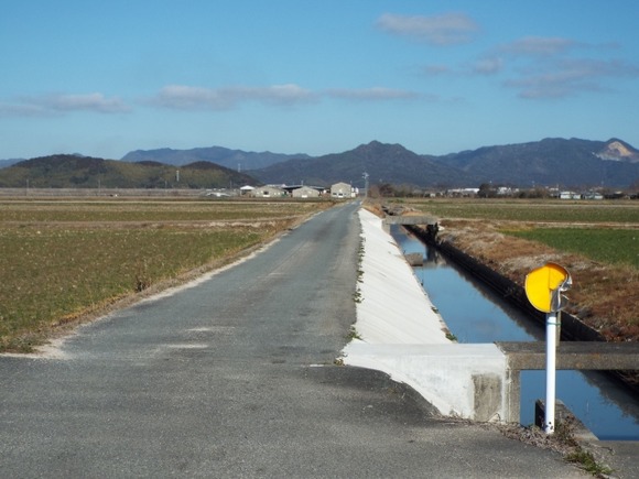 侵略的外来種のジャンボタニシ、ベトナム人技能実習生が多い地域で何故か絶滅へ