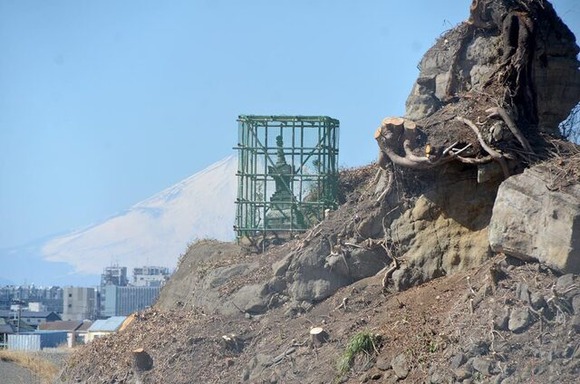 【神奈川】鎌倉で「泣塔」周囲の雑木林伐採　市民らショック、野ざらしで山肌風化の懸念も　移動すると「たたり」？