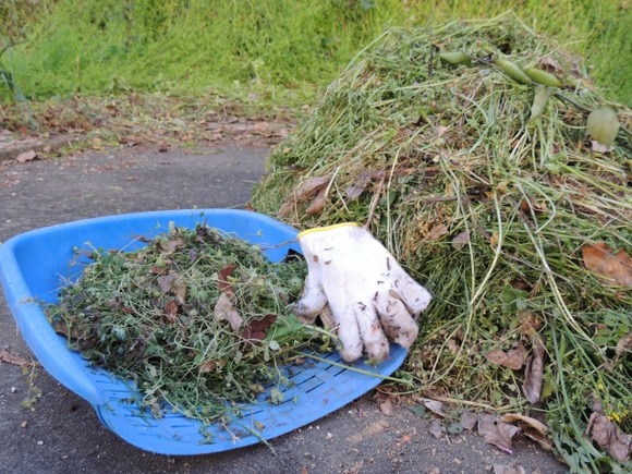 自治会「土曜日の草むしり、不参加なら罰金5000円だけどどうする？ｗ」←これ