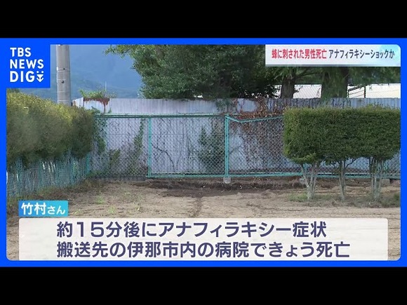 【悲報】ハチに刺され、8日後に死亡…アナフィラキシーショックか
