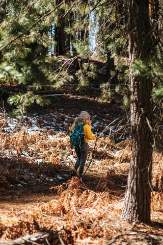 hiker