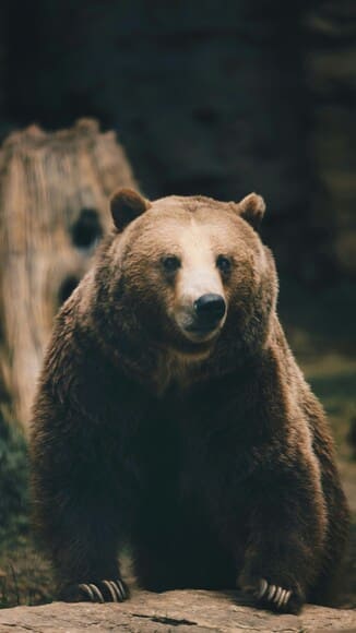 kevin-wright-lQP830H1yoU-unsplash (1)