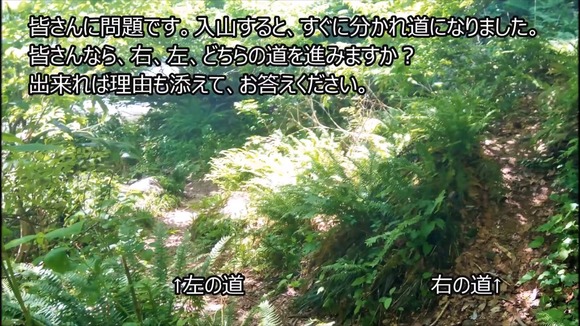 登山道の分かれ道