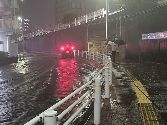 【怖報】千葉さん、うっかり地球上最悪の侵略植物を拡散してしまう