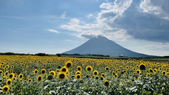 5月「暑いです」6月「暑いです」7月「暑いです」8月「暑いです」9月「暑いです」10月「暑いです」